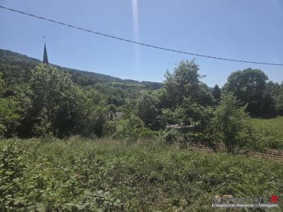 Vente Terrain WISEMBACH 88520