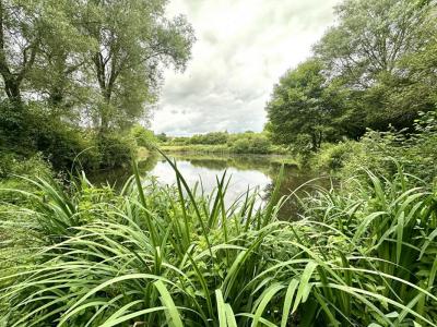 Vente Terrain SAVIGNY-SUR-BRAYE 41360