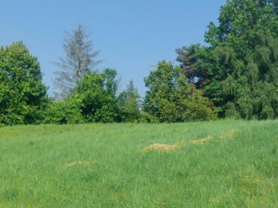 Vente Terrain PRIMARETTE 38270