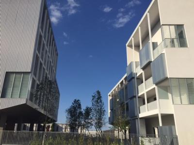 Location Appartement 3 pices LORMONT 33310