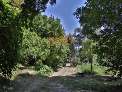 Vente Prestige SAINT-ANDRE-DE-VALBORGNE 30940