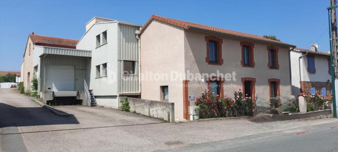 Vente Commerce ROZIER-EN-DONZY 42810