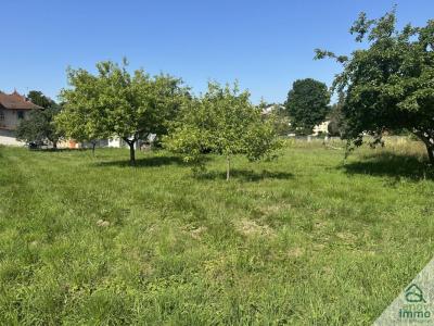 Vente Terrain CHALAMONT 01320