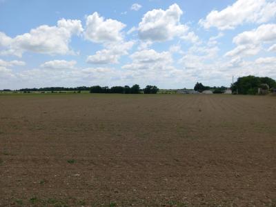 Vente Terrain THOU 17290