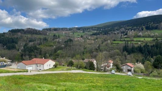 Vente Terrain SAINT-SAUVEUR-EN-RUE 42220