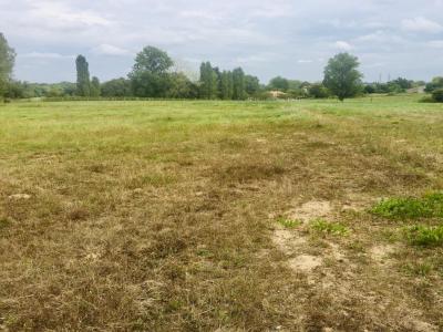 Vente Terrain SAINT-ANDRE-DE-CUBZAC 33240