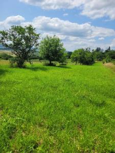 Vente Terrain FLEUREY-LES-FAVERNEY 70160