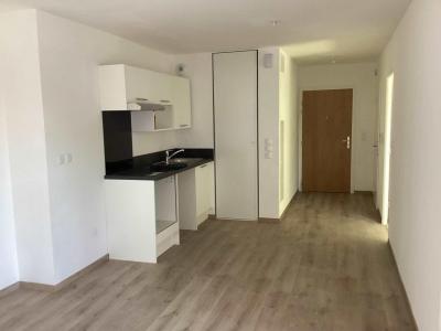 Location Appartement 2 pices WILLEMS 59780