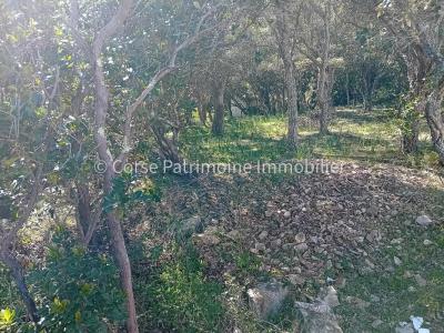 Vente Terrain SOTTA 20146