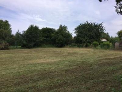 Vente Terrain POMPERTUZAT 31450