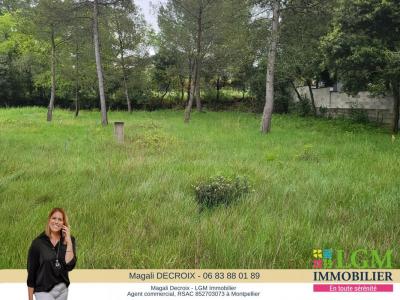 Vente Terrain SAINT-DREZERY 34160