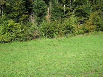 Vente Terrain BETHONVILLIERS 90150