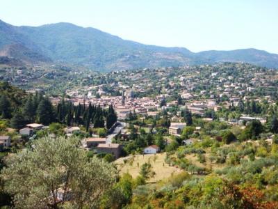 Vente Appartement 4 pices VANS 07140