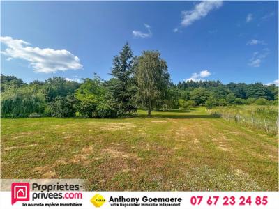 Vente Terrain LANGON 41320