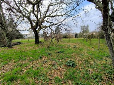 Vente Terrain LALANDE-DE-POMEROL 33500