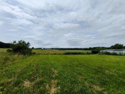 Vente Terrain SAINT-LOUBES 33450