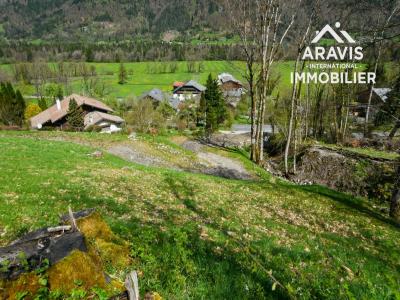 Vente Terrain RIVIERE-ENVERSE 74440