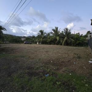 Vente Terrain ROBERT 97231