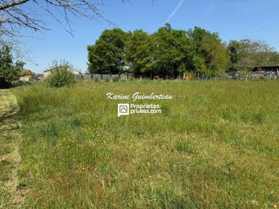 Vente Terrain SAINT-DENIS-DE-PILE 33910