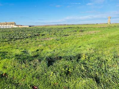 Vente Terrain HOUDAN 78550