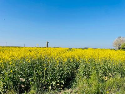 Vente Terrain EPERNON 28230