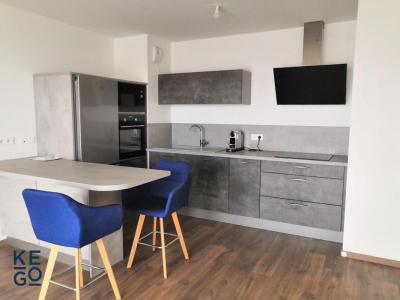 Location Appartement 2 pices BRUMATH 67170
