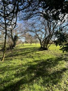 Vente Terrain LALANDE-DE-POMEROL 33500