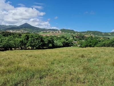 Vente Terrain VAUCLIN 97280