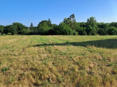 Vente Terrain CAMPENEAC 56800