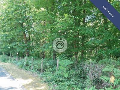 Vente Terrain COULOUNIEIX-CHAMIERS 24660