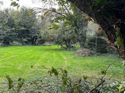 Vente Terrain BUSSY-SAINT-GEORGES 77600