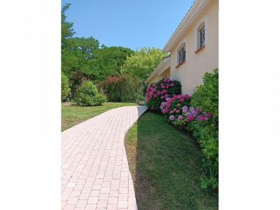 Vente Maison 5 pices AIGREFEUILLE 31280