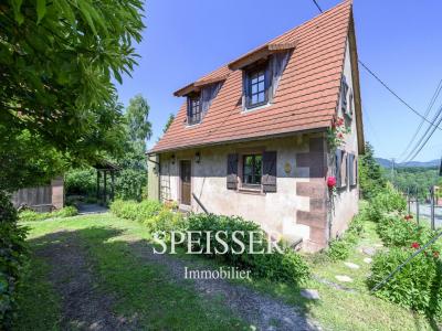 Vente Maison 2 pices REICHSHOFFEN 67110