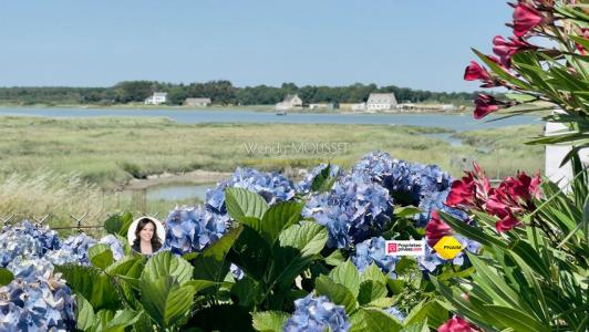 Vente Maison 7 pices TOUR-DU-PARC 56370