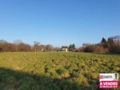 Vente Terrain BETHONCOURT 25200