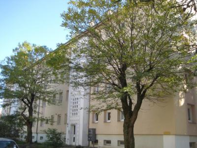Location Appartement 4 pices CERNAY 68700
