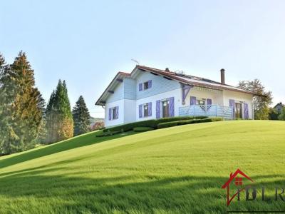 Vente Maison 8 pices THOLY 88530