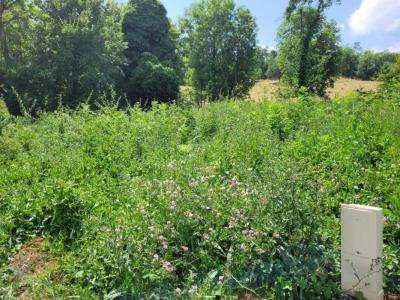 Vente Terrain SAINT-GEORGES-SUR-ALLIER 63800