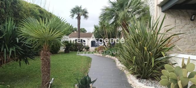 Vente Maison 8 pices SAUJON 17600