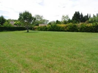 Vente Terrain BELBERAUD 31450