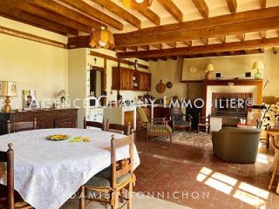 Vente Maison 9 pices CHATEAU-RENARD 45220