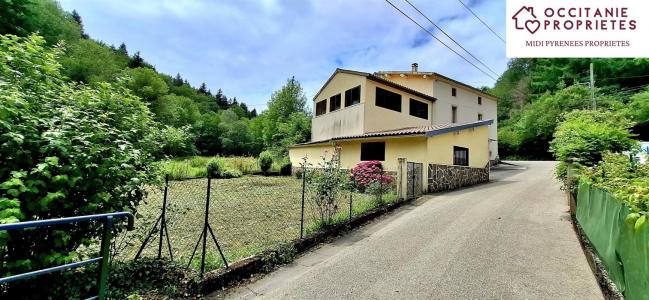 Vente Maison 9 pices NALZEN 09300