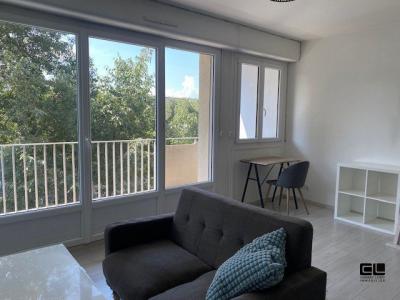Location Appartement LYON-7EME-ARRONDISSEMENT 69007
