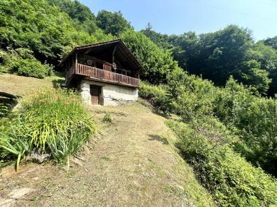 Vente Maison 6 pices UGINE 73400