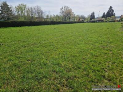 Vente Terrain CORCIEUX 88430
