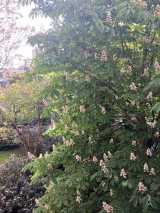 Vente Appartement PARIS-16EME-ARRONDISSEMENT 75016