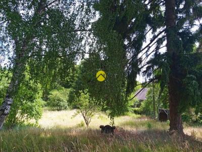 Vente Terrain BONNY-SUR-LOIRE 45420