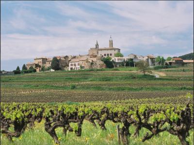 Vente Terrain SAINT-ALEXANDRE 30130