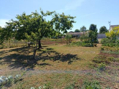 Vente Terrain SAINT-POMPAIN 79160