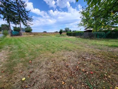 Vente Terrain DOMPIERRE-SUR-VEYLE 01240